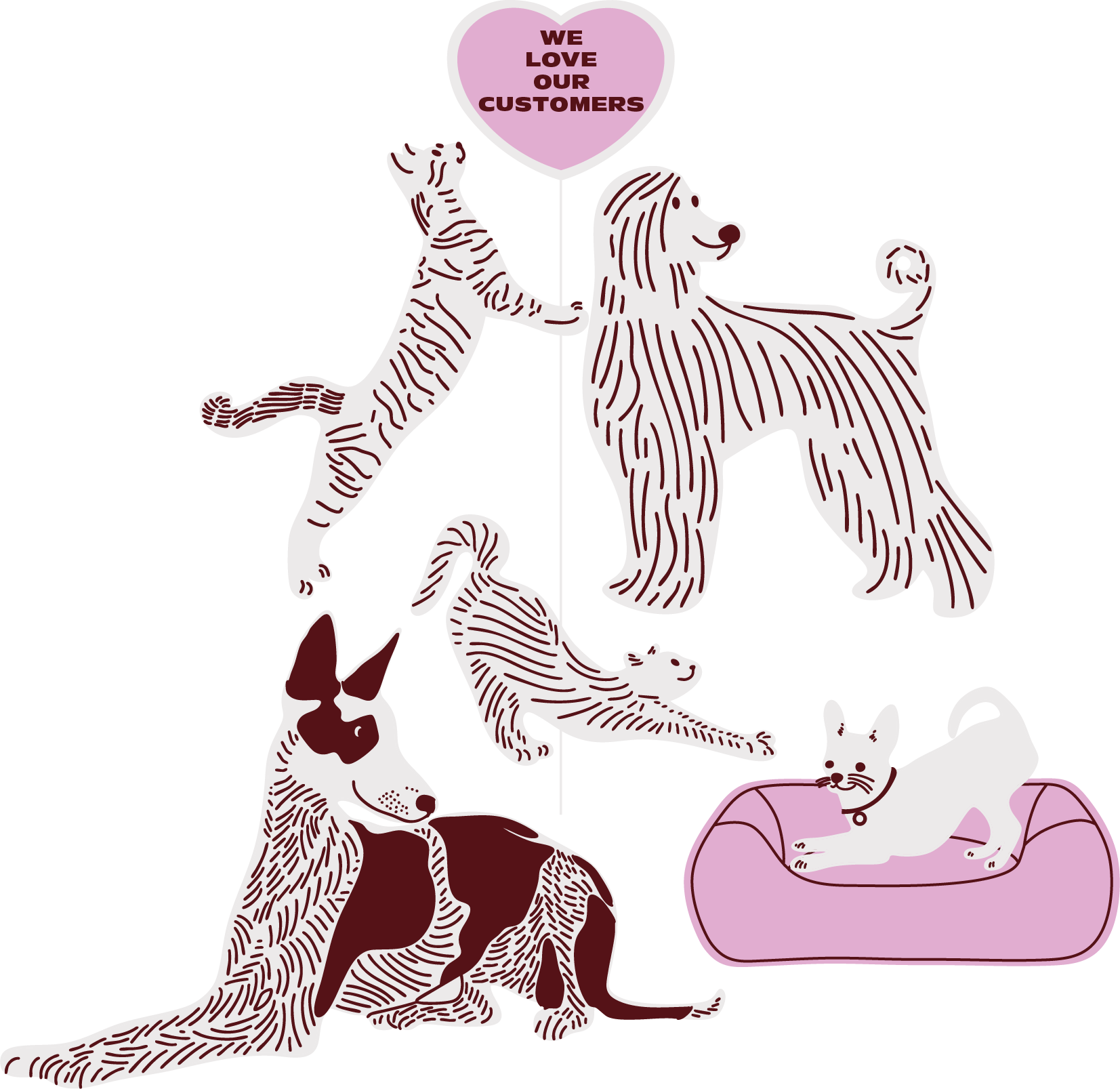 foto NASTA animals group